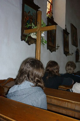 DPP 2011